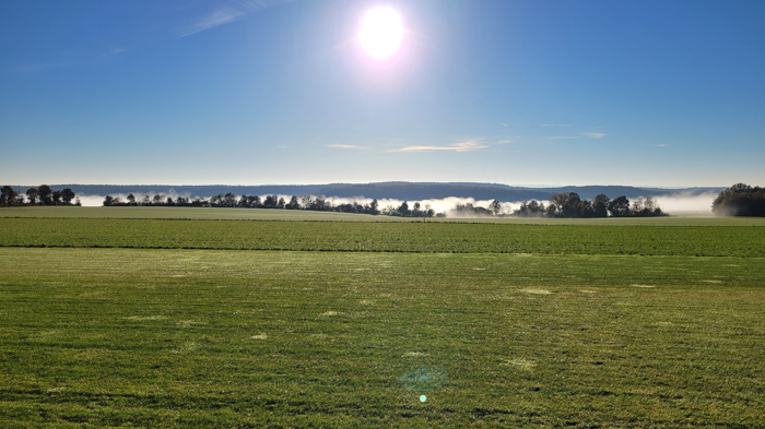 Vereinsflugtreffen 2021