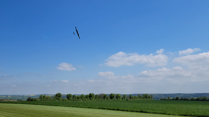 ... zeig mir deine Flügel!