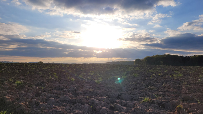 ... so geht der Tag zu Ende ...