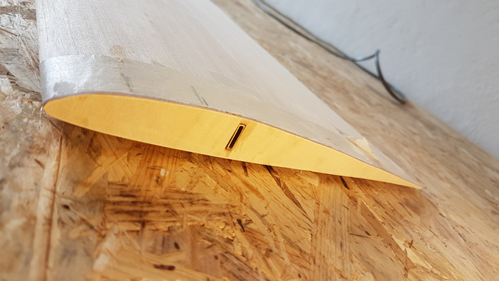 verschliffene Wurzelrippe