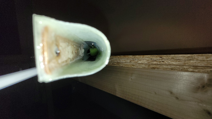 Spülschwämmchen im Rumpf